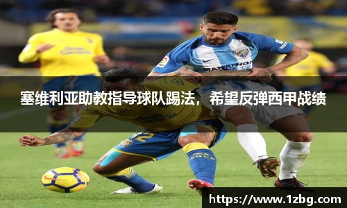 星空·综合体育官方网站