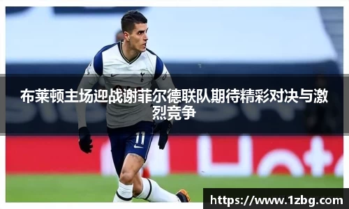 布莱顿主场迎战谢菲尔德联队期待精彩对决与激烈竞争